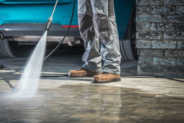 Pre-Holiday Cleaning in Royal Palm Estates, FL