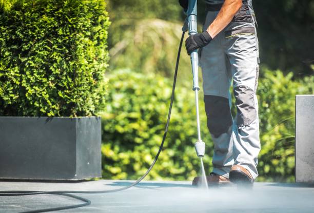 Best Driveway Pressure Washing  in Royal Palm Estates, FL