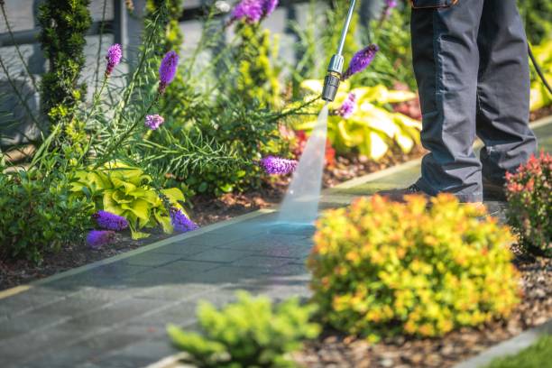 Best Fence Cleaning  in Royal Palm Estates, FL