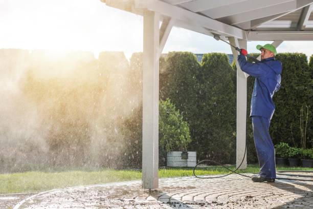 Boat and Dock Cleaning in Royal Palm Estates, FL