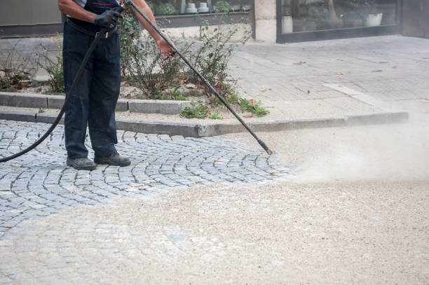 Best Roof Washing  in Royal Palm Estates, FL