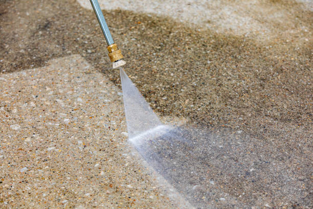 Best House Exterior Washing  in Royal Palm Estates, FL
