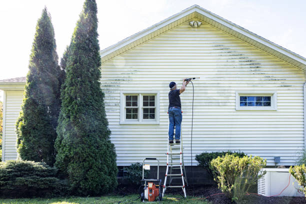Professional Pressure Washing Services in Royal Palm Estates, FL