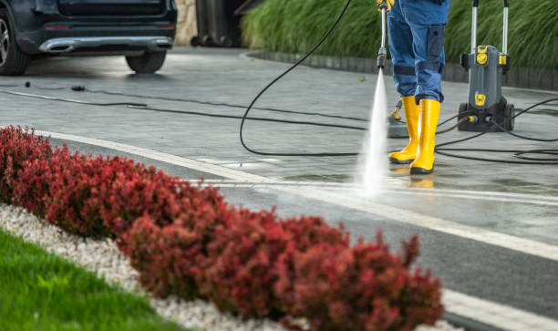 Best Dumpster Area Cleaning  in Royal Palm Estates, FL