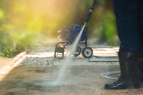 Best Building Exterior Washing  in Royal Palm Estates, FL